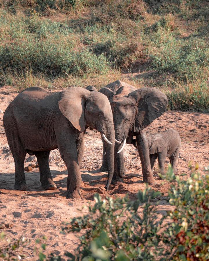 Maninghi Lodge Balule Game Reserve Exterior photo