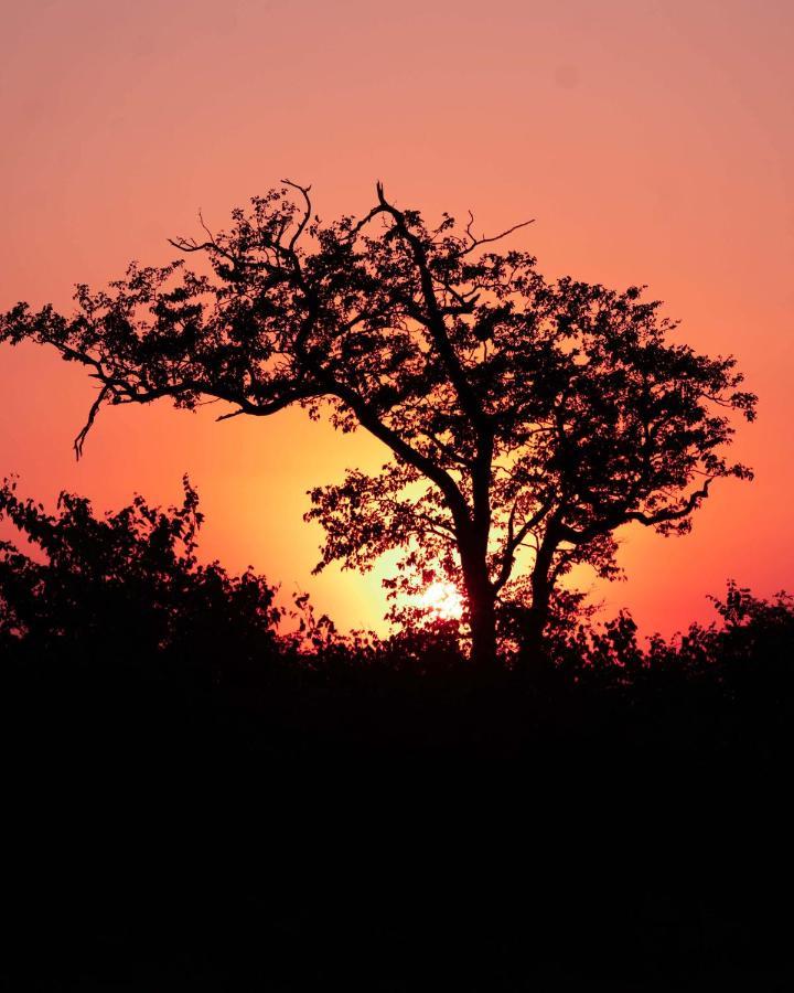Maninghi Lodge Balule Game Reserve Exterior photo
