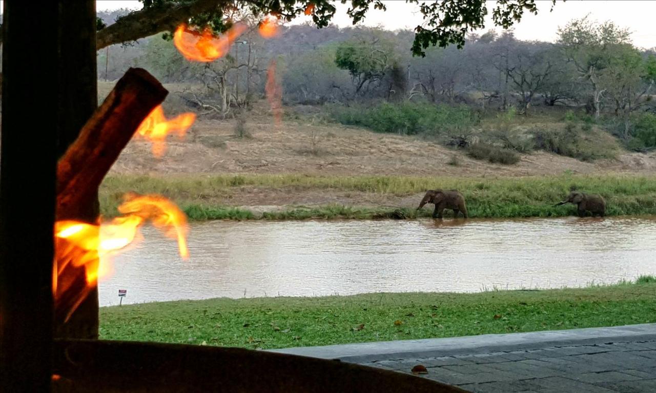 Maninghi Lodge Balule Game Reserve Exterior photo